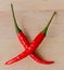 Chilli Spices Represents Red Pepper And Capsaicin