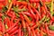 Chillies on sale