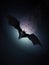 A chilling bat silhouette in flight against the night sky unheeding of those below. Gothic art. AI generation
