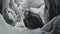 Chilling Creatures: A Vray-style Black And White Imagery Of An Eagle In A Snow Cave