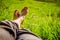 Chilling in the green grass: Legs of a young man, relaxing, summertime