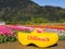 CHILLIWACK, CANADA - APRIL 20, 2019: Big yellow clog at the Chilliwack Tulip Festival british columbia flower farm