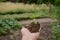 Chilly plant soil heap in hand over out of focus green brown background