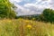 Chiltern Countryside landscape