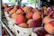 Chilton County peaches in baskets