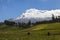 Chimborazo in the morning