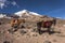 Chimborazo volcano