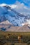 Chimborazo volcano in andean Ecuador