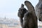 Chimeras gargoyles of the Cathedral of Notre Dame de Paris overlooking Paris