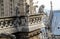 Chimeras gargoyles of the Cathedral of Notre Dame de Paris overlooking Paris