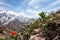 Chimgan mountains, Uzbekistan, amazing nature landscape with rocks, tulip flowers and blue sky, travel background