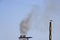 Chimney of a cruise ship smoked with a bird next to it.