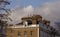 Chimney Pots of London.