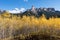 Chimney Rock and Court House Mountain stands above an aspen grove along Owl Creek Pass road.