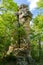 Chimney Rock in Hastings Minnesota is a 30-foot-tall sandstone rock pillar located in Dakota County