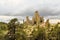 Chimney rock monoliths in Valley of the Monks