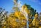 Chimney smokes in autumn