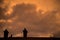 chimneys silhouettes an crow silhouettte  on orange color sky by sunset