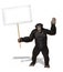 Chimp with Blank Sign