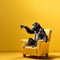 Chimp And Penguin Pointing At Yellow Chair