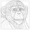 Chimpanzee. Animal.Coloring book antistress for children and adults.