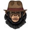 Chimpanzee, chimp portrait. Monkey face. Ape head. Fedora classic hat.