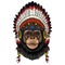 Chimpanzee, chimp portrait. Monkey face. Ape head. Indian traditional headdress.
