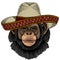 Chimpanzee, chimp portrait. Sombrero mexican hat. Monkey face. Ape head.