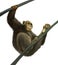 Chimpanzee climbing on liana. Isolated Illustartio