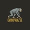 Chimpanzee engraved hand drawn in old sketch style, vintage animals. Monkey, ape or primate logo or emblems, retro label