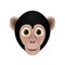 Chimpanzee head cartoon vector