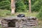 A chimpanzee lies on a wooden scaffolding