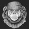 Chimpanzee Monkey Cool pirate, seaman, seawolf, sailor, biker animal for tattoo, t-shirt, emblem, badge, logo, patch