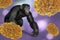 Chimpanzee monkey surrounded by monkeypox viruses, conceptual 3D illustration