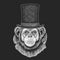 Chimpanzee, Monkey Top hat, cylinder. Hipster animal, gentleman. Classic headdress. Print for children t-shirt, kids