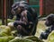 Chimpanzee mother holding her baby, chimpanzees with alopecia areata, common animal diseases