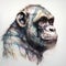 Chimpanzee portrait combined with colored paint splashes on white background