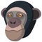 Chimpanzee portrait made in unique simple cartoon style. Head of monkey. Isolated icon for your design