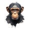 Chimpanzee portrait, young animal hand drawn painting