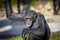 A Chimpanzee resting in the sunshine
