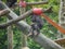 Chimpanzee seated on Tree House