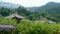 China ancient architecture temple in bamboo forest.