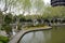 China, Changzhou, trees in Hongmei park