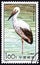 CHINA - CIRCA 1992: A stamp printed in China from the `Storks` issue shows Oriental Stork Ciconia boyciana, circa 1992.