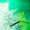 china country name displayed on geographic map in green abstract background
