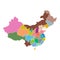 China map with province region. Flat vector illustration on whit