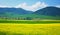 China Qinghai Flower and Field Landscape