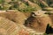 China - rice terraces