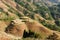 China - rice terraces