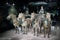 China\'s Terracotta Warriors and Horses Museum
